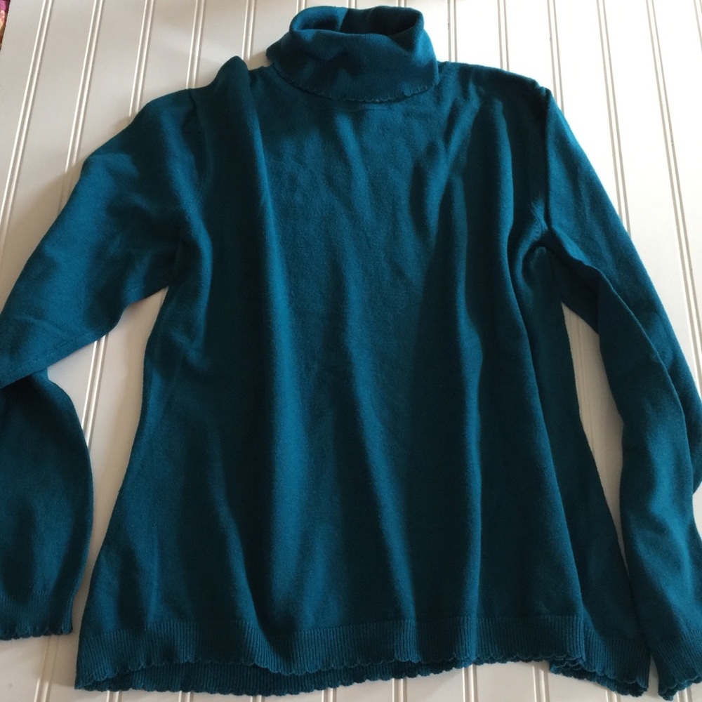 Deep Blue Christopher & Banks Turtleneck Sweater L